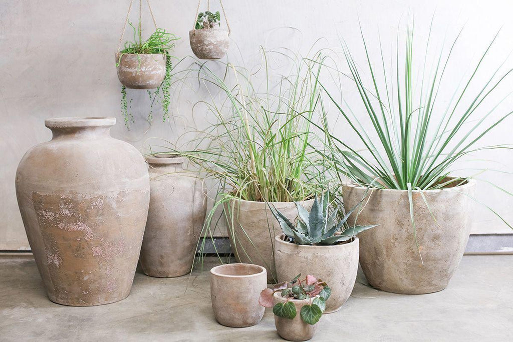 Affiti Clay Tapered Pot - Small