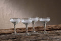 Anara Etched Champagne Glass - Clear (Set of 4)