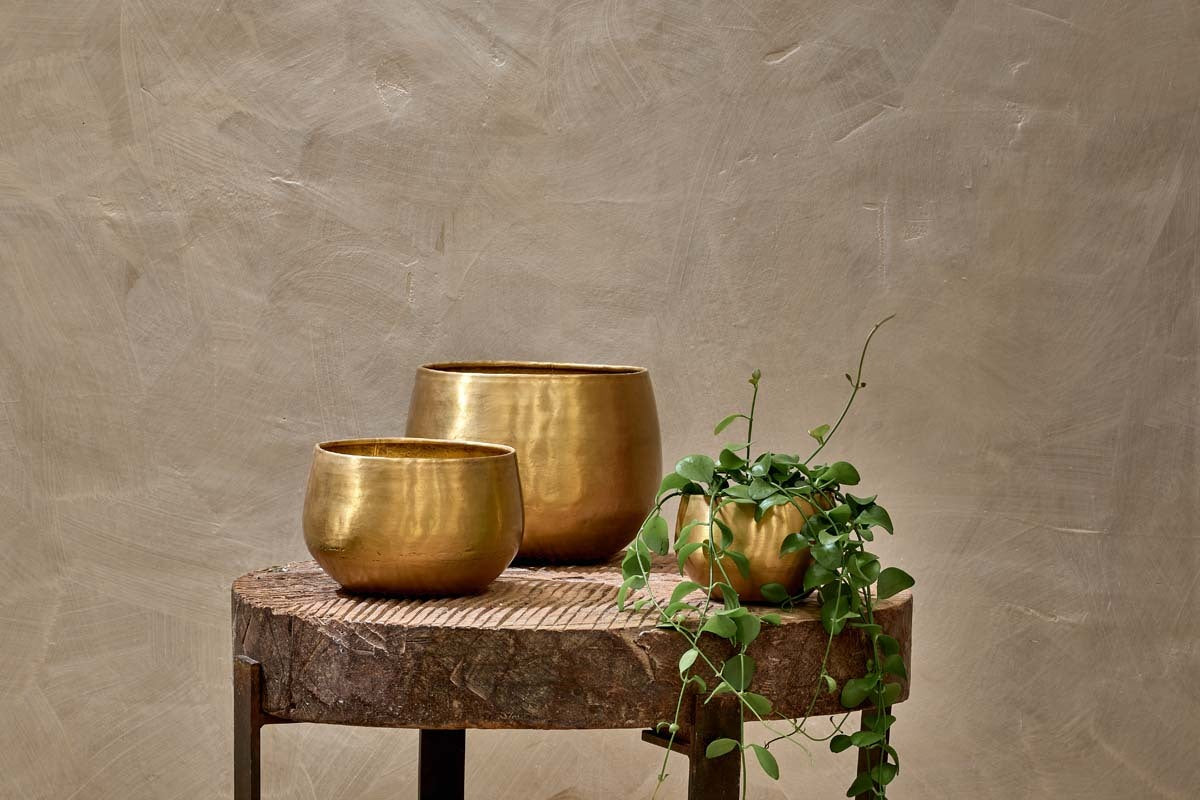 Atsu Brass Planter
