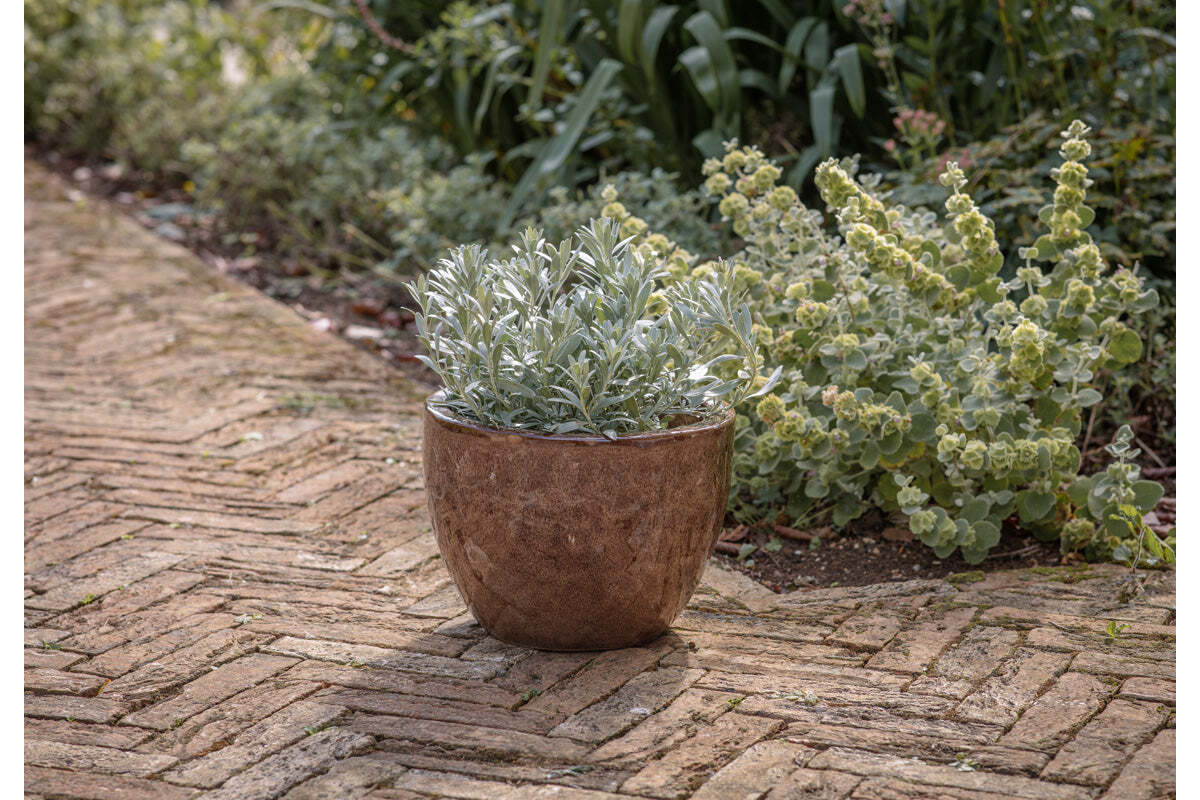 Dunai Terracotta Planter - Brown