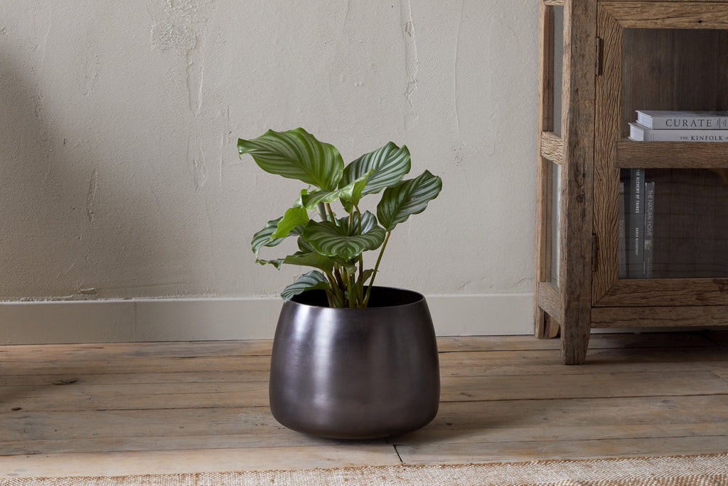 Maliki Plant Pot - Aged Bronze