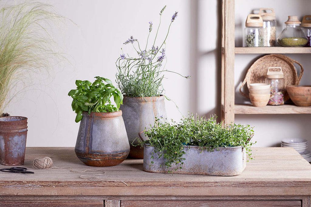 Mamba Outdoor Planter - Aged Zinc