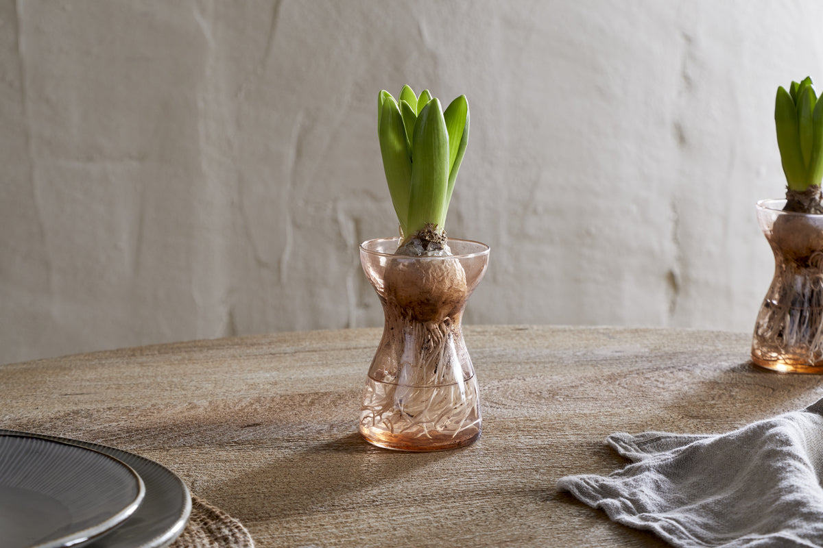 Enir Hyacinth Vase - Dusty Terracotta
