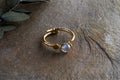 Marai Labradorite Ring - Labradorite & Gold