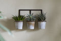 Tukana Triple Wall Hung Planter - Zinc