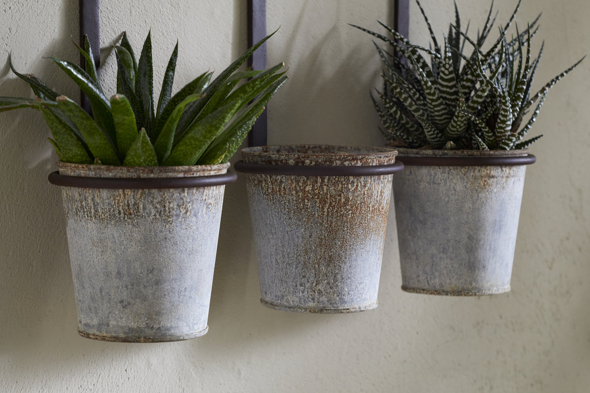 Tukana Triple Wall Hung Planter - Zinc