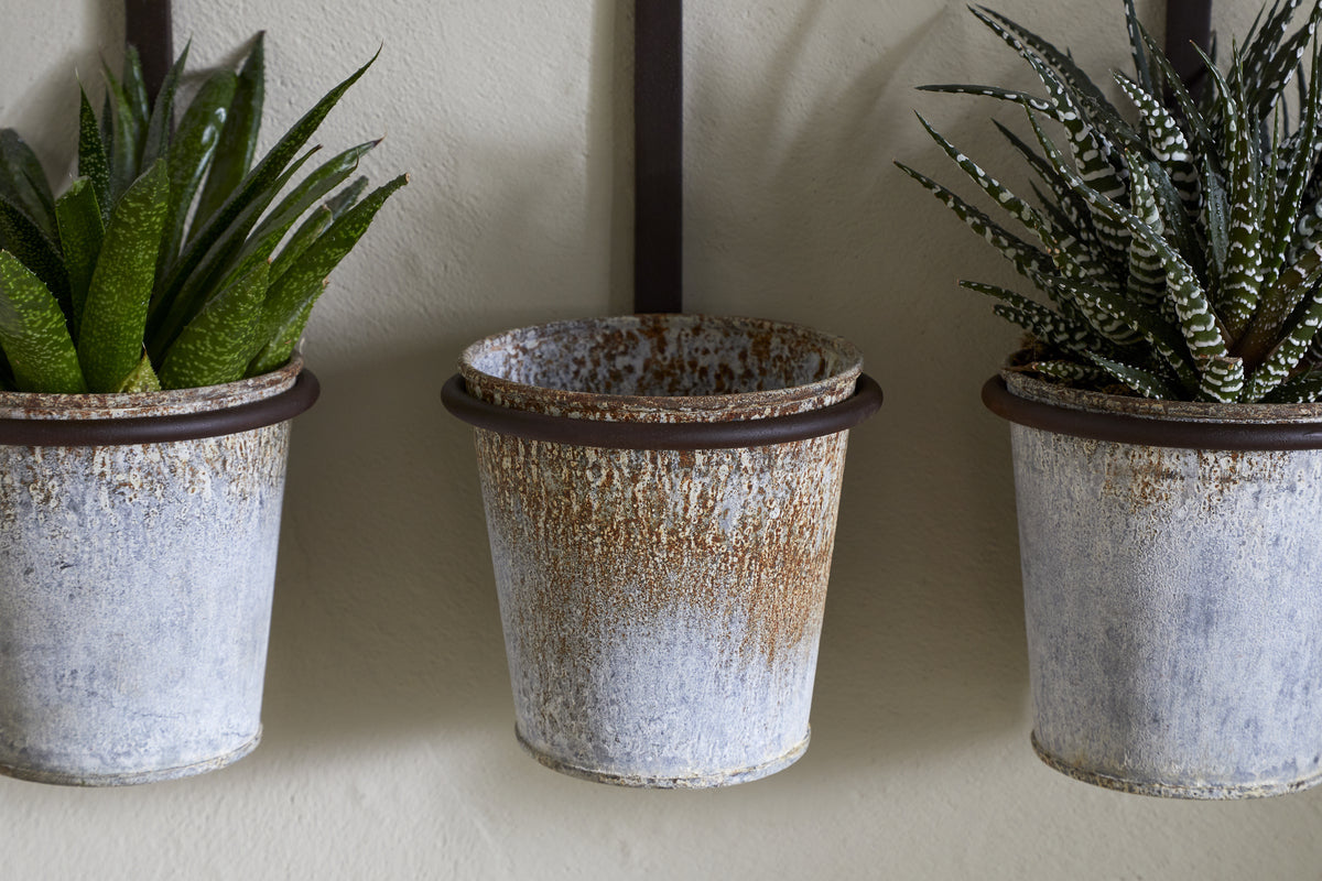 Tukana Triple Wall Hung Planter - Zinc