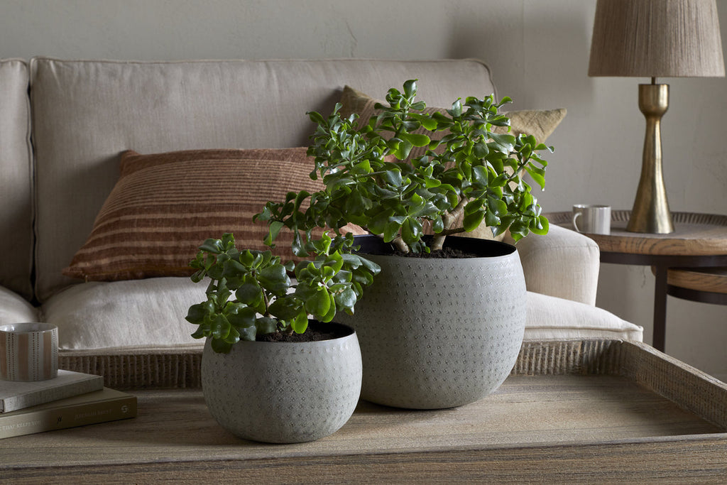 Laoko Planter - Olive Grey