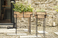 Amazzi Indoor Planter Stand - Natural & Black