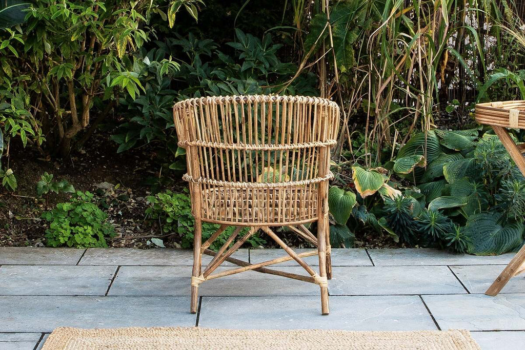 Nesari Rattan Armchair