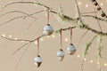 Ngolo Baubles - (Set of 4)
