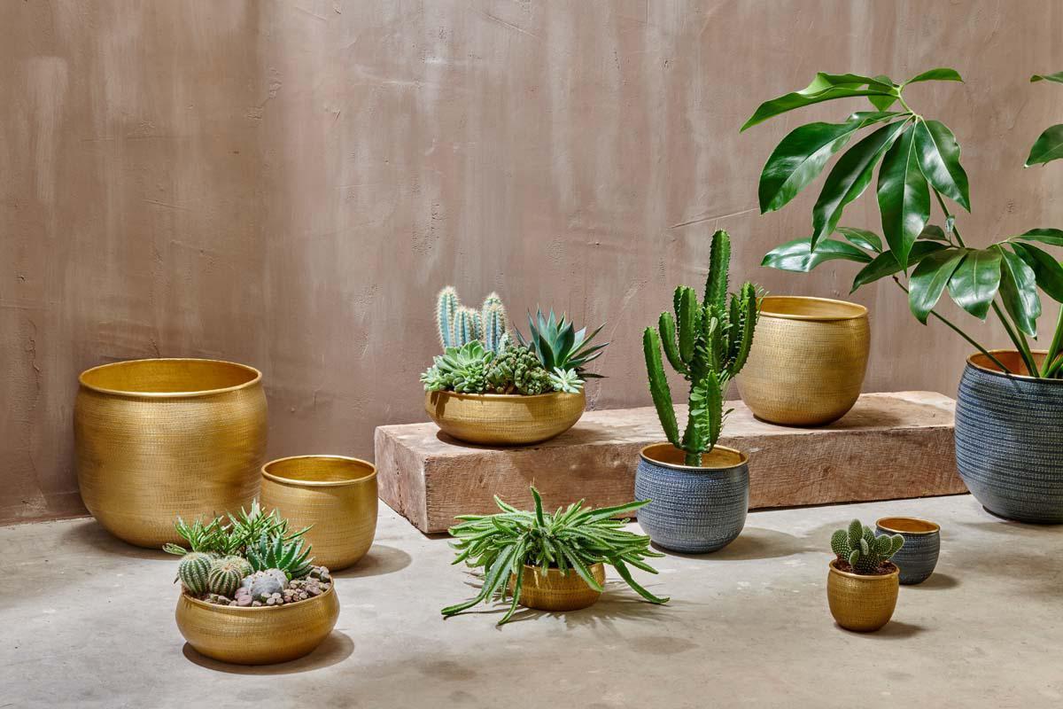 Tembesi Etched Planter - Antique Black & Brass